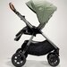 Joie - carucior multifunctional pentru copii Finiti Signature, Pine